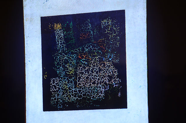 Цветные слои под черной краской «Черного квадрата», обнаруженные на рентгене в 2015 г.