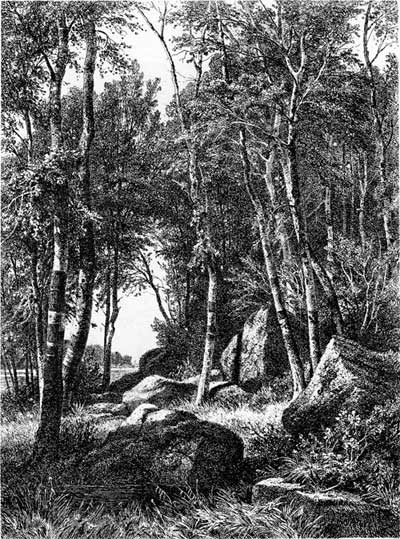 И. Шишкин. Гравюра «Лес». Офорт. Около 1890 г.