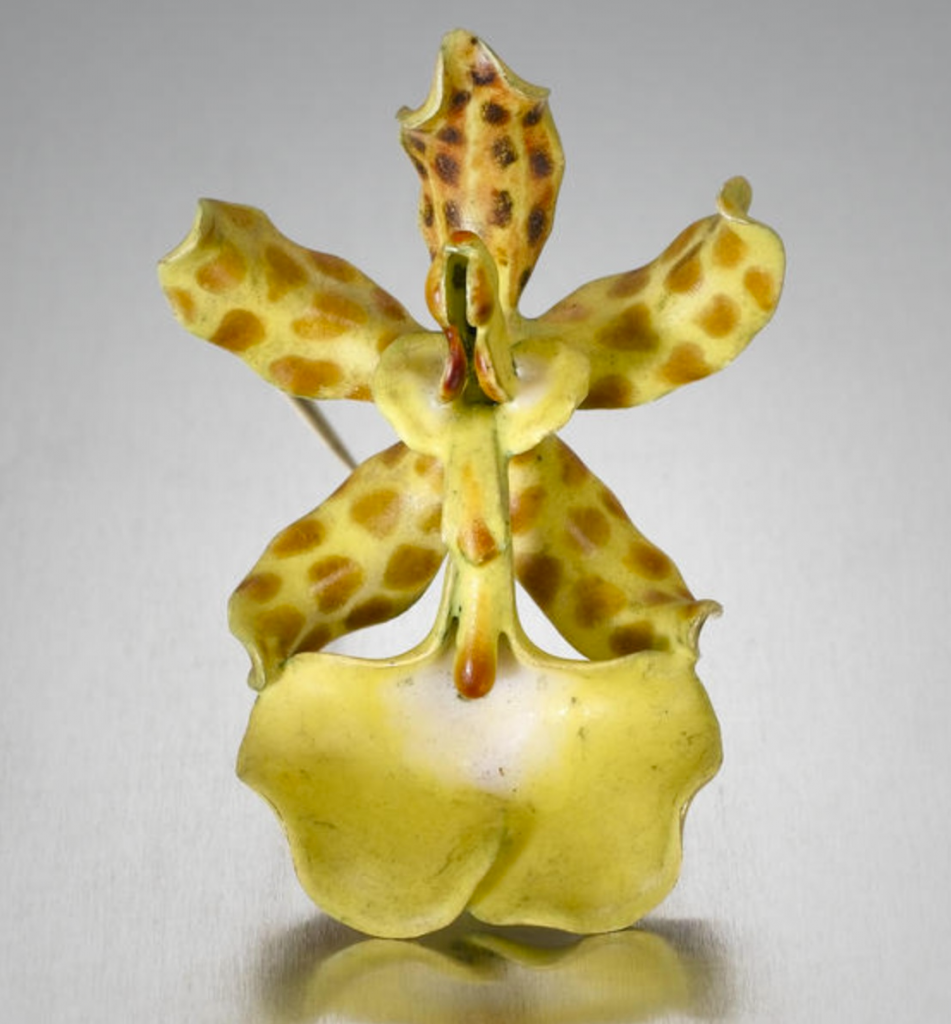 Брошь Oncidium orchid. Эмаль, серебро
