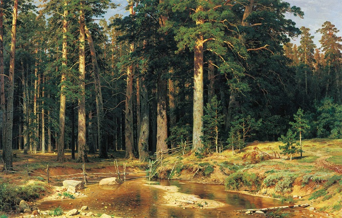 Последняя законченная картина И.И. Шишкина «Корабельная роща». 1898 г.
