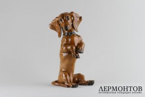 Статуэтка Такса. Фарфор.  Фабрика Rosenthal, Германия, 1950- е годы.