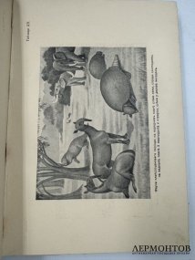Книга М. Н. Покровского «Русская история с древнейших времён», 5 томов. Россия, 1913–1914 годы