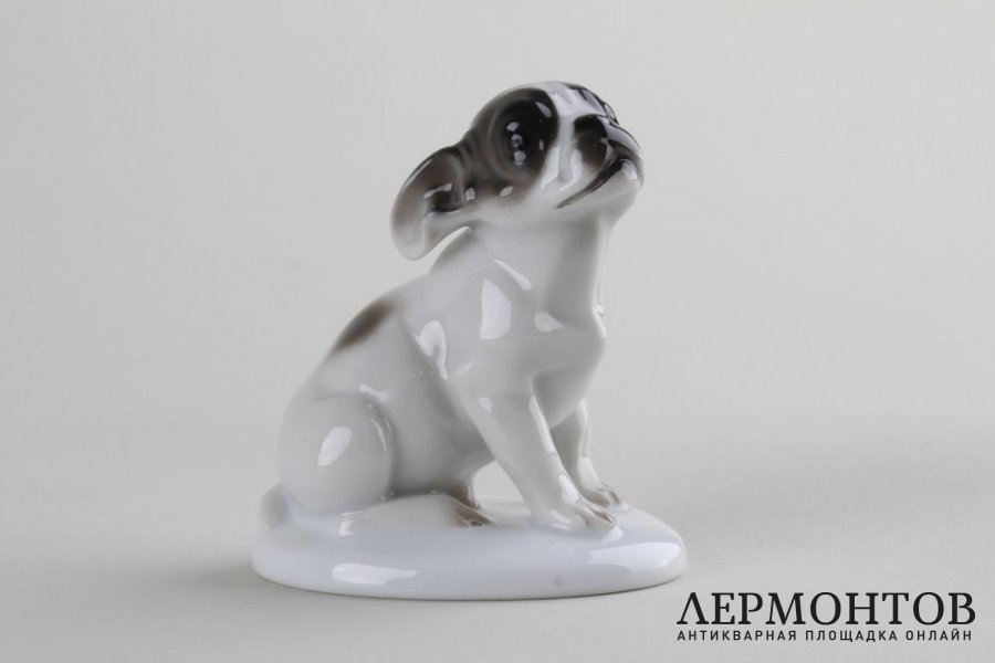 Статуэтка Французский бульдог, щенок. Фарфор. Rosenthal, K. HIMMELSTOSS, 1931 г.