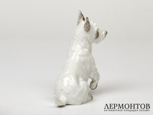 Статуэтка «Скотч-терьер». Фарфор, Potschappel, Германия, 1876–1901 годы
