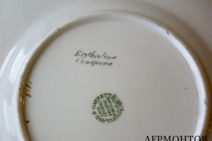 Ботаническая тарелка Copeland and Garrett. Англия, 1833-1847 гг, фарфор, живопись