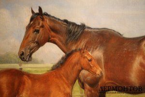 Картина. Портрет лошадей Леди Вивиан и Мокси. Вильгельм Эйвинд Тилли. Холст, масло.