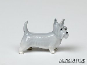 Статуэтка «Скотч-терьер». Фарфор, Pfeffer, Германия, 1934–1942 годы