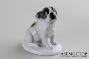 Статуэтка Французский бульдог, щенок. Фарфор. Rosenthal, K. HIMMELSTOSS, 1931 г.