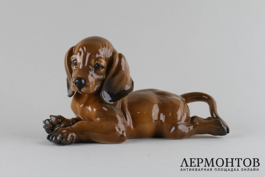 Статуэтка Щенок таксы. Фарфор.  Фабрика Rosenthal, Германия, сер. XX в.