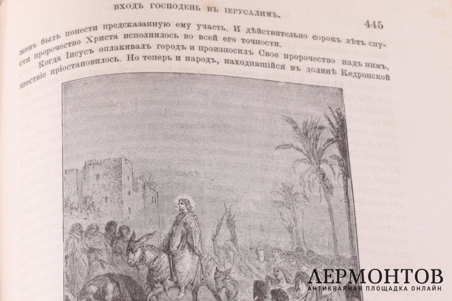 Библейская история. Новый завет в одном томе. А.П. Лопухин. СПБ. И.Л. Тузов. 1895 г.