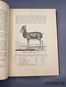 Книга Н. М. Пржевальского «От Кяхты на истоки Жёлтой реки». Россия, 1888 год