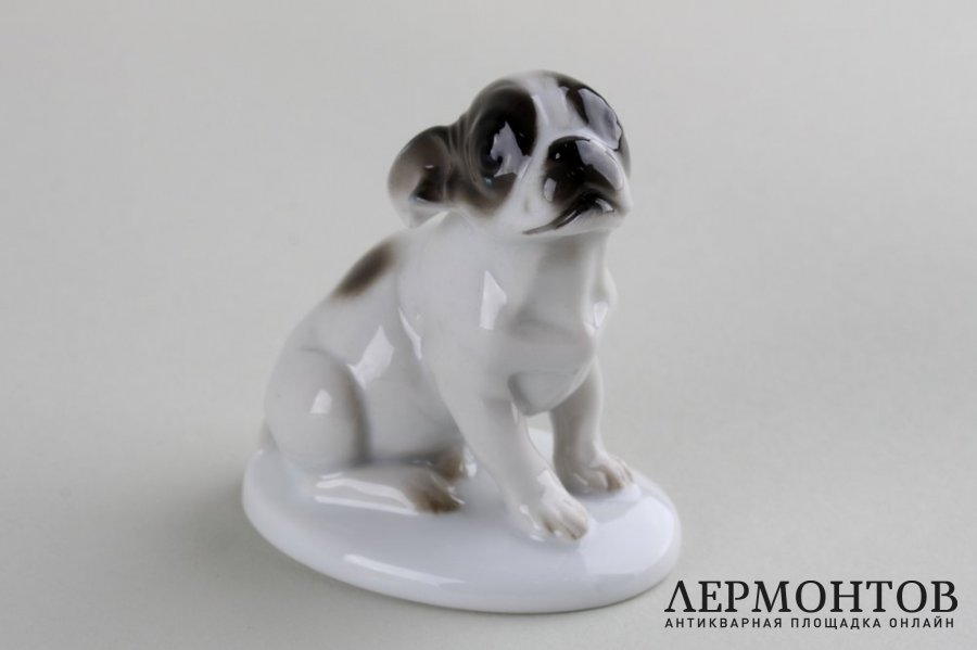 Статуэтка Французский бульдог, щенок. Фарфор. Rosenthal, K. HIMMELSTOSS, 1931 г.