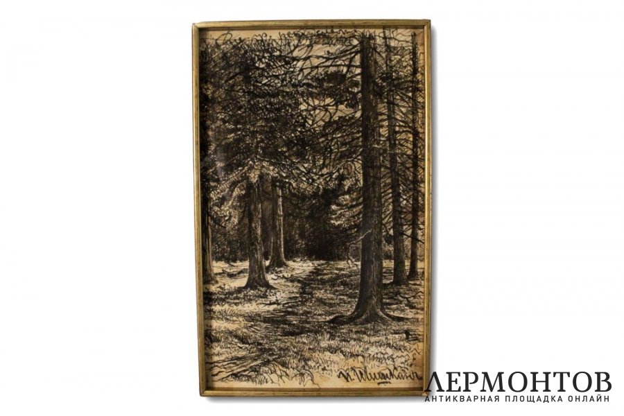 Картина Шишкин И.И. Ельник. 1900-е годы.