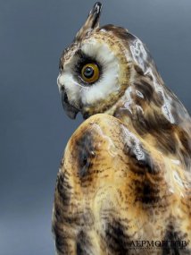 Статуэтка «Ушастая сова». Фарфор, роспись, Meissen, Э. А. Лойтериц, Германия