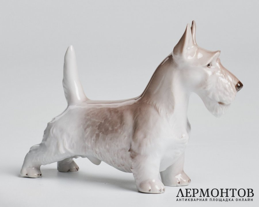 Статуэтка «Скотч терьер». Фарфор, Rosenthal, Германия