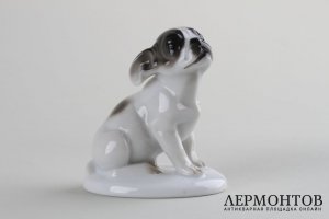 Статуэтка Французский бульдог, щенок. Фарфор. Rosenthal, K. HIMMELSTOSS, 1931 г.