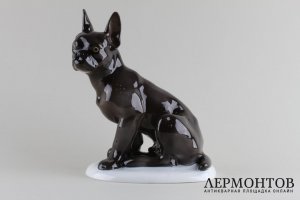 Статуэтка Французский бульдог. Фарфор, роспись.  Fraureuth, Германия, 1919-1926 гг.