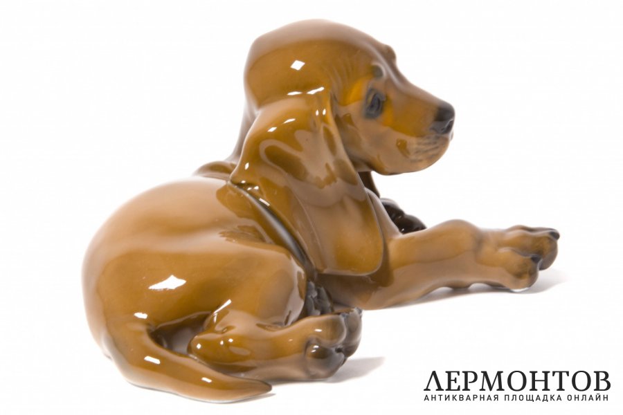 Фарфоровая статуэтка Щенок таксы. Германия, Rosenthal, 1957 год. Фарфор, роспись.