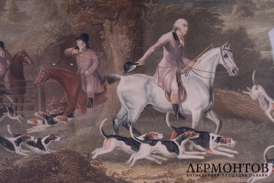 Гравюра Участник Уорикширской охоты Джон Корбет и его фоксхаунды. Англия, 1814-30е гг