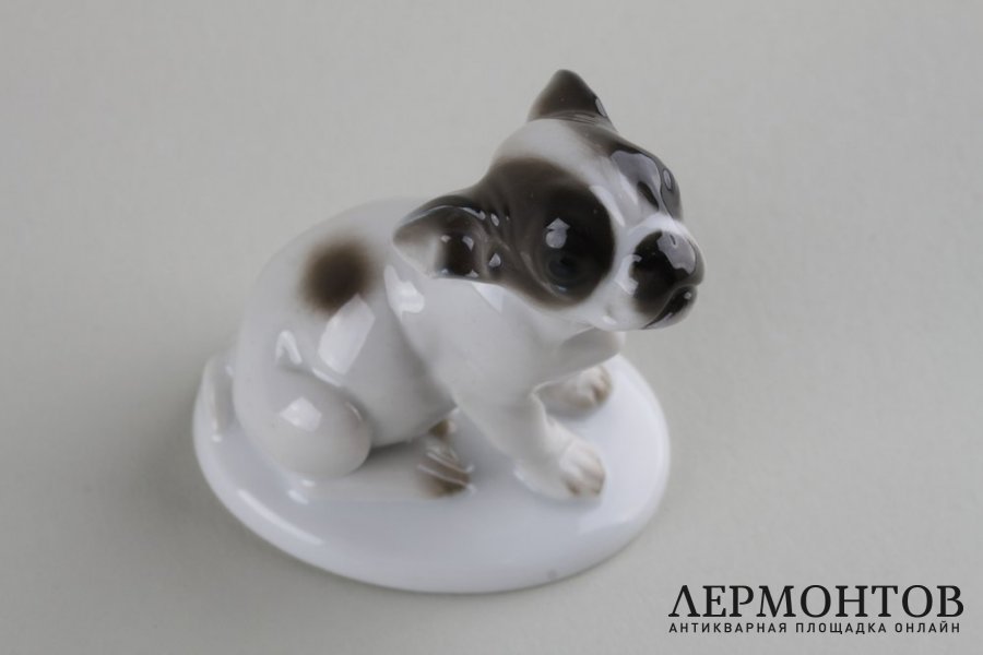 Статуэтка Французский бульдог, щенок. Фарфор. Rosenthal, K. HIMMELSTOSS, 1931 г.
