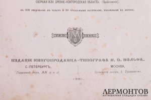 Книга Живописная Россия. Издательство Товарищество М.О.Вольфа, 1881 год.