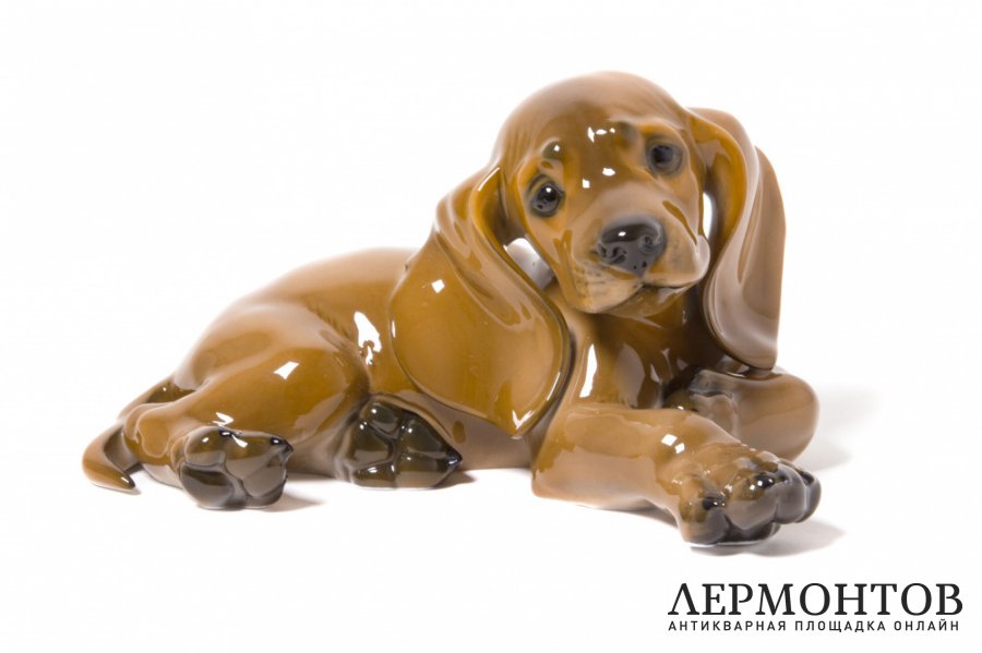 Фарфоровая статуэтка Щенок таксы. Германия, Rosenthal, 1957 год. Фарфор, роспись.
