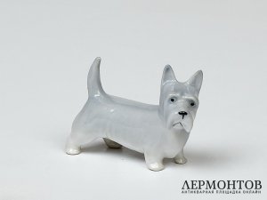 Статуэтка «Скотч-терьер». Фарфор, Pfeffer, Германия, 1934–1942 годы