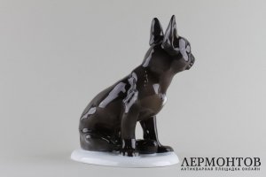 Статуэтка Французский бульдог. Фарфор, роспись.  Fraureuth, Германия, 1919-1926 гг.