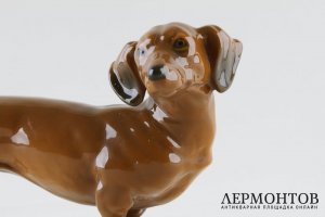 Статуэтка Такса. Фарфор.  Фабрика - Rosenthal, Германия, вторая пол. 20 в.