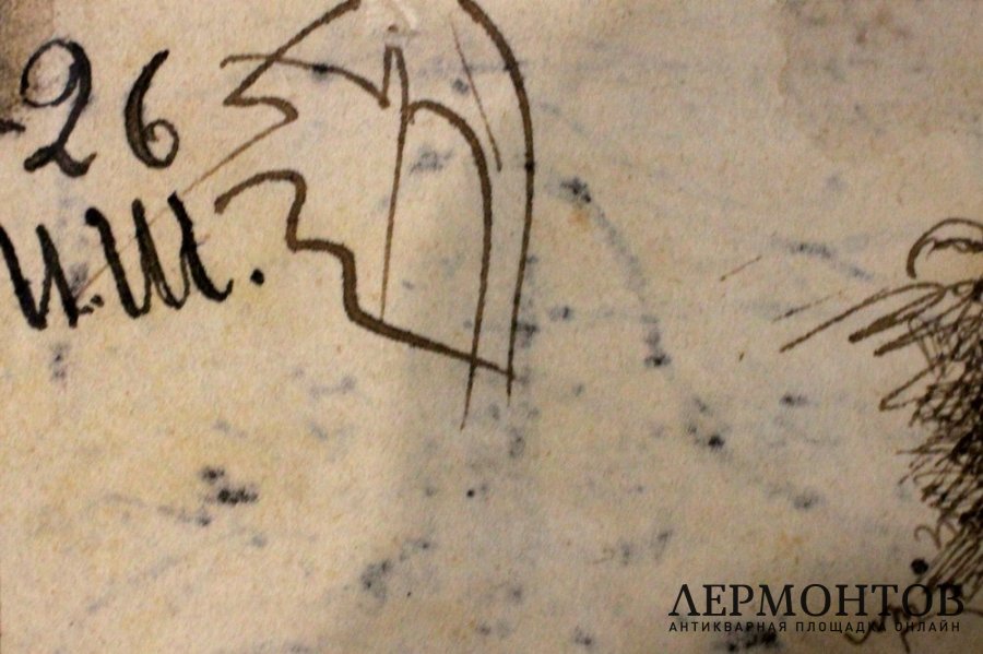 Картина Шишкин И.И. Ельник. 1900-е годы.