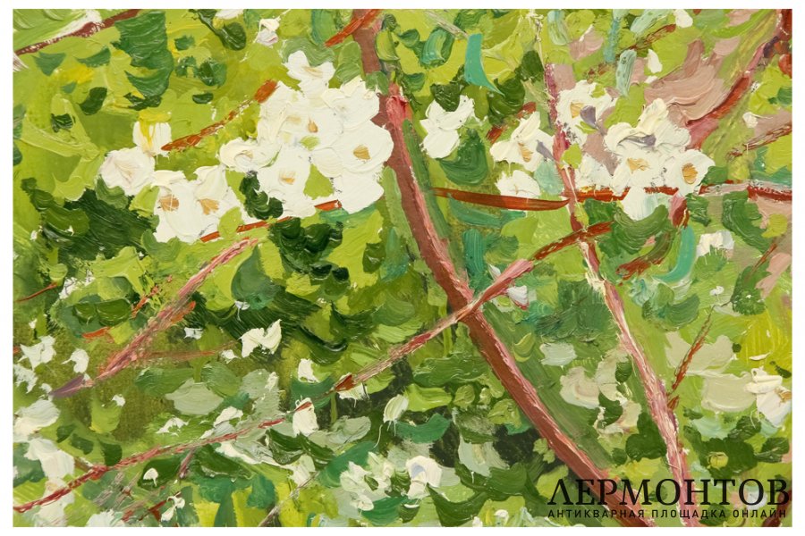 Картина. Цветущая яблоня, вторая половина XX в. Титов Анатолий Михайлович. Картон, 