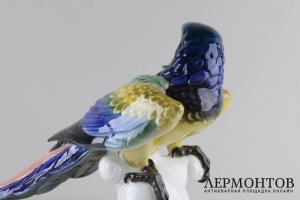 Статуэтка Попугай. Фарфор, роспись.  Фабрика Rosenthal, Германия, T. Karner, 1953 г