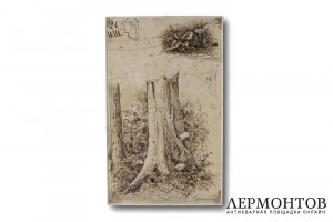 Картина Шишкин И.И. Ельник. 1900-е годы.