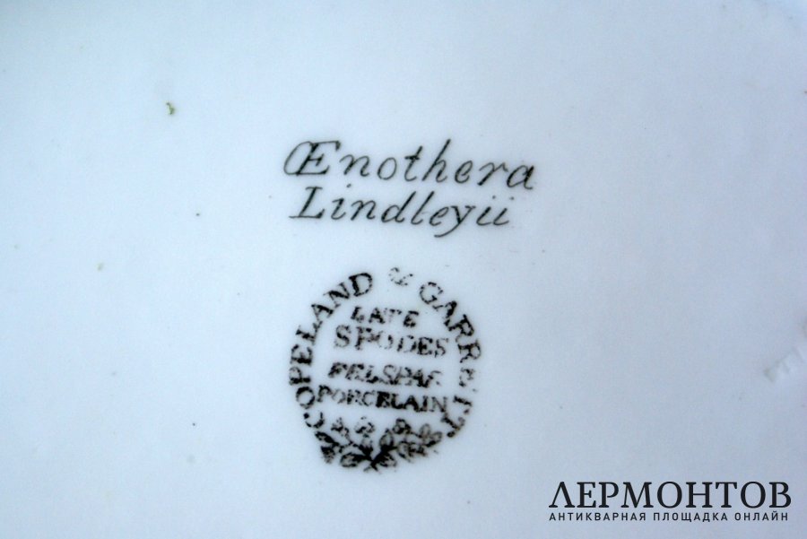 Сервировочное блюдо Copeland and Garrett. Англия, 1833-1847 гг, фарфор, живопись