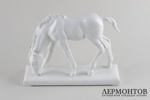Статуэтка Жеребенок. Фарфор. Германия, Мейсен.