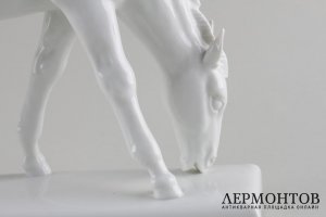 Статуэтка Жеребенок. Фарфор. Германия, Мейсен.