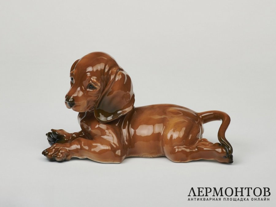 Статуэтка «Щенок таксы». Фарфор, Rosenthal, Германия, 1960 год