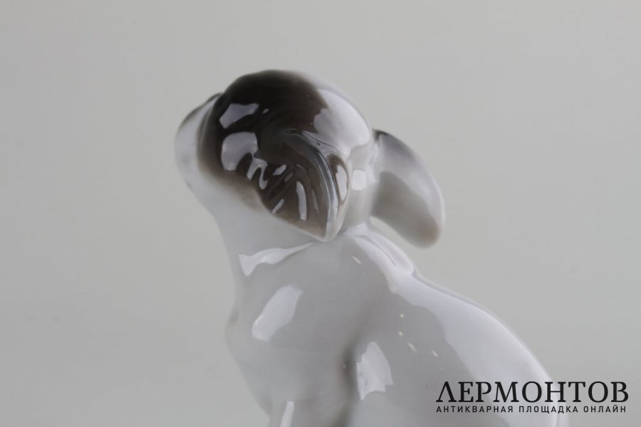 Статуэтка Французский бульдог, щенок. Фарфор. Rosenthal, K. HIMMELSTOSS, 1931 г.