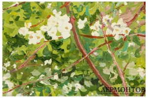 Картина. Цветущая яблоня, вторая половина XX в. Титов Анатолий Михайлович. Картон, 