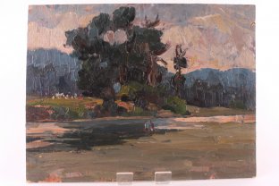 Картина из серии Природа. N10. Чурсин К.Н. Картон, масло. XX в.