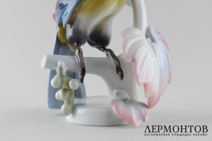 Статуэтка Тукан. Фарфор.  Фабрика, Rosenthal, Германия, 1943 год.