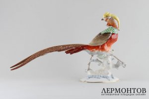 Статуэтка Фазан. Фарфор.  Hutschenreuther, Германия, K. Mutter, 1970-е гг