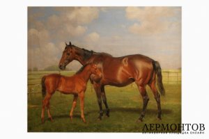 Картина. Портрет лошадей Леди Вивиан и Мокси. Вильгельм Эйвинд Тилли. Холст, масло.