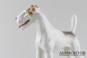 Статуэтка Собака фокстерьер, модель 19. Фарфор.  Фабрика Allach, Германия. T. Karner