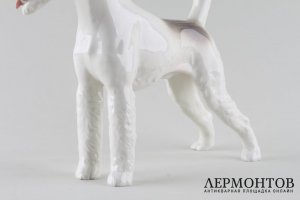 Статуэтка Собака фокстерьер, модель 19. Фарфор.  Фабрика Allach, Германия. T. Karner