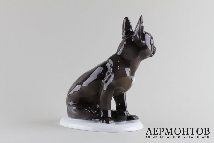 Статуэтка Французский бульдог. Фарфор, роспись.  Fraureuth, Германия, 1919-1926 гг.