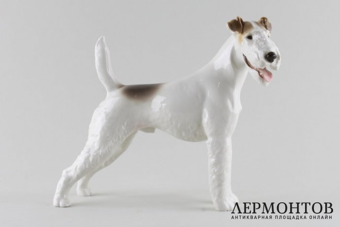 Статуэтка Собака фокстерьер, модель 19. Фарфор.  Фабрика Allach, Германия. T. Karner