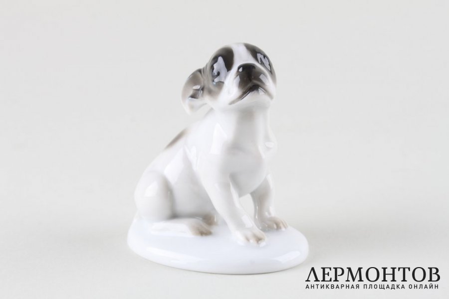 Статуэтка Французский бульдог, щенок. Фарфор. Rosenthal, K. HIMMELSTOSS, 1931 г.