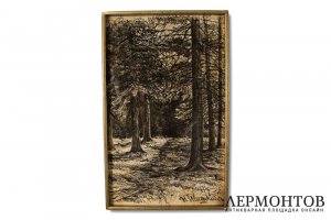 Картина Шишкин И.И. Ельник. 1900-е годы.