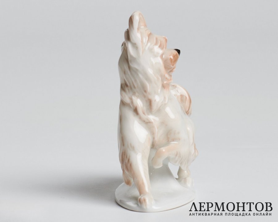 Статуэтка «Скай терьер». Фарфор, Rosenthal, Германия